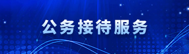 公务接待服务